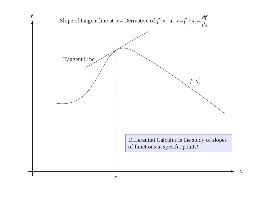 Overview of Differentiation