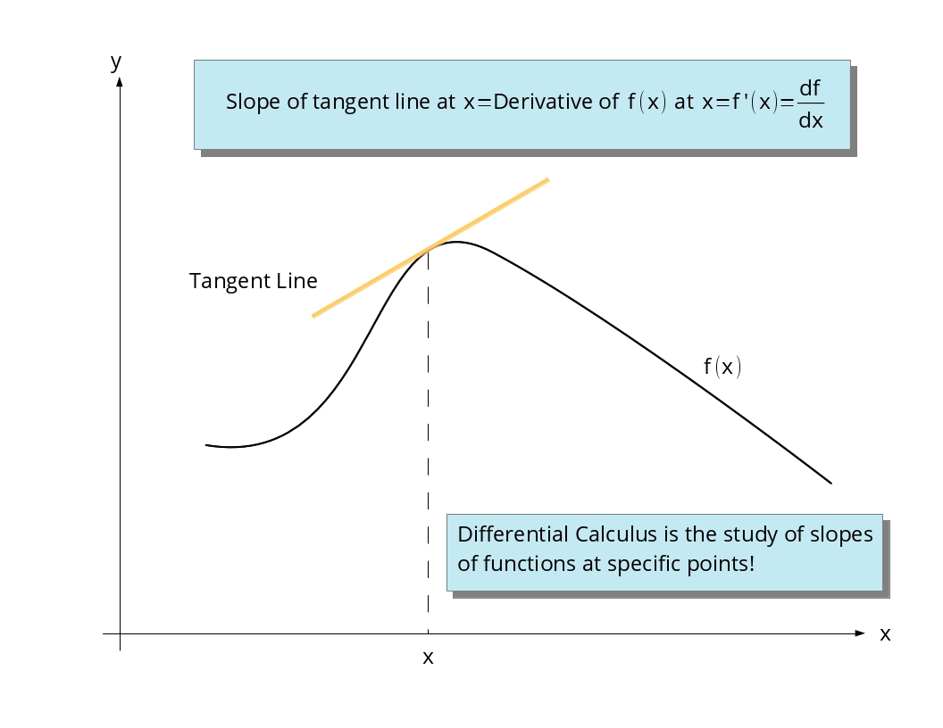 Overview of Differentiation